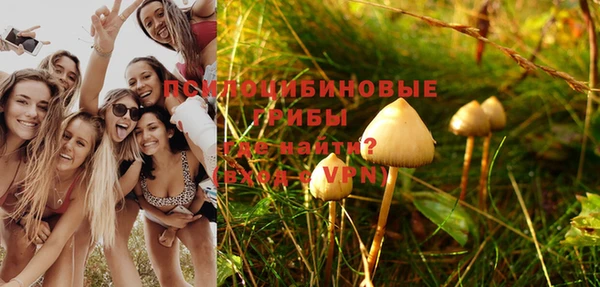 спайс Белоозёрский