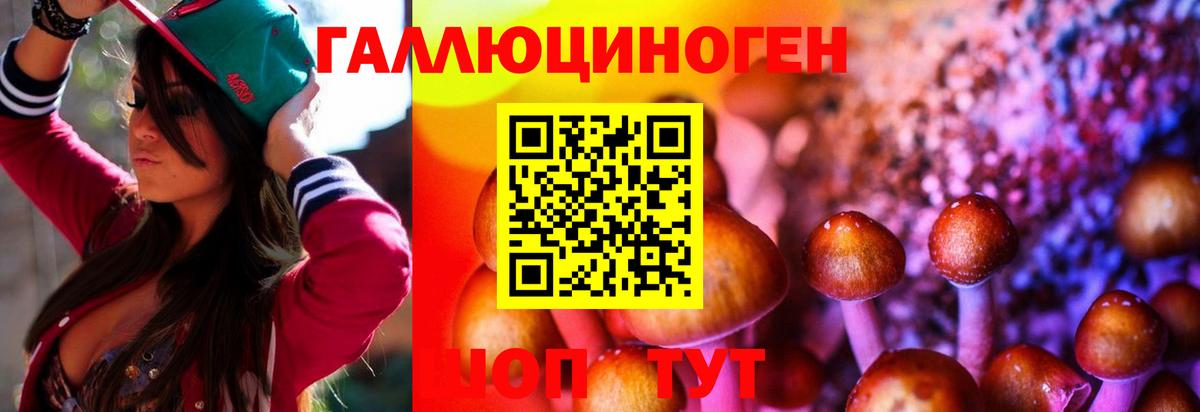 Галлюциногенные грибы мицелий  Вход с VPN  Галлюциногенные грибы Psilocybe  Маркс 