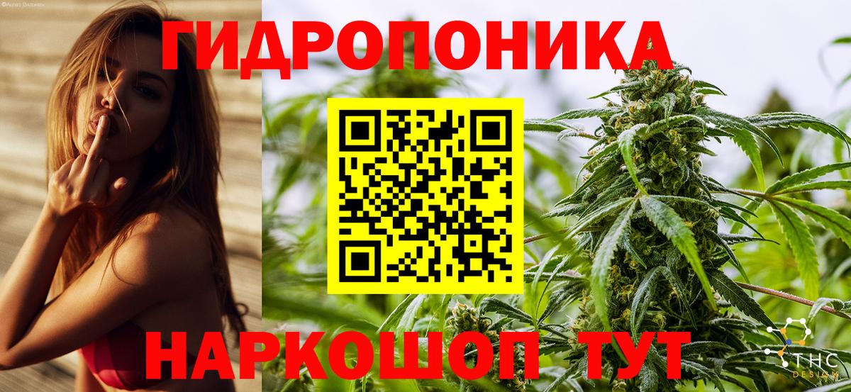 Маркс  Марихуана семена  Конопля OG Kush  Конопля White Widow  Вход с VPN 